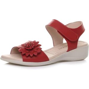 Ajvani Femmes rembourré confortable fleur petit talon plat sandales à lanières pointure 4 37 - Publicité Ajvani Femmes rembourré confortable fleur petit talon plat sandales à lanières pointure 4 37 - Publicité