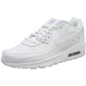 Nike CD6864-100 AIR Max 90 LTR (GS) Unisex White/White-Metallic Silver-White EU 36.5 - Publicité Nike CD6864-100 AIR Max 90 LTR (GS) Unisex White/White-Metallic Silver-White EU 36.5 - Publicité