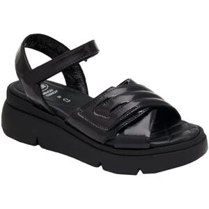 Scholl Femme Bali Cross Sandal, Noir, 36 EU - Publicité Scholl Femme Bali Cross Sandal, Noir, 36 EU - Publicité