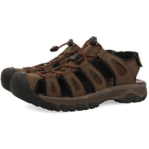 GIOSEPPO Homme Pontianac Chaussure d'eau, Marron, 43 EU - Publicité GIOSEPPO Homme Pontianac Chaussure d'eau, Marron, 43 EU - Publicité