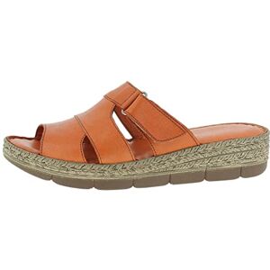 Andrea Conti Mules pour Femme, Papaye, 36 EU - Publicité Andrea Conti Mules pour Femme, Papaye, 36 EU - Publicité