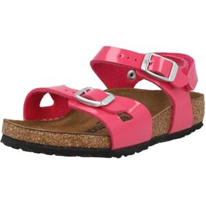 Birkenstock SANDALO YUNIOR 1029517 RIO HL KIDS(Y19) 45/1, Fuchsia Tulip, 32 EU - Publicité Birkenstock SANDALO YUNIOR 1029517 RIO HL KIDS(Y19) 45/1, Fuchsia Tulip, 32 EU - Publicité
