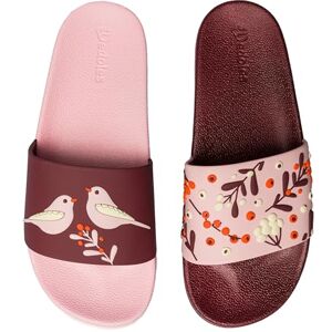 Dedoles Chaussure & Pantoufles Homme Femme & Enfants Sandales Antidérapant designs amusants Livre Pizza Café Renard Lama Cadeau, Couleur: Oiseaux et baies, Taille: 40 EU - Publicité Dedoles Chaussure & Pantoufles Homme Femme & Enfants Sandales Antidérapant designs amusants Livre Pizza Café Renard Lama Cadeau, Couleur: Oiseaux et baies, Taille: 40 EU - Publicité