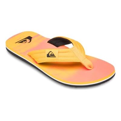 Quiksilver Molokai Layback Sandales pour homme FIERY CORAL BLOOFADE, 43 EU, Fiery Coral Bloofade, 43 EU - Publicité Quiksilver Molokai Layback Sandales pour homme FIERY CORAL BLOOFADE, 43 EU, Fiery Coral Bloofade, 43 EU - Publicité
