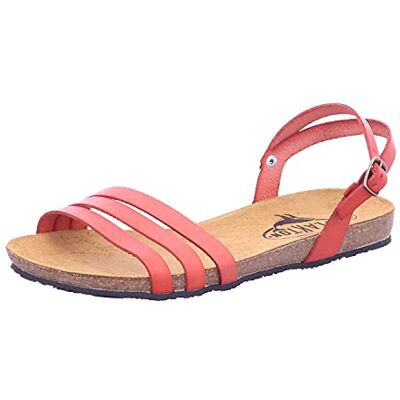 Plakton Adulte ROOSSE, Roosse, 36 EU - Publicité Plakton Adulte ROOSSE, Roosse, 36 EU - Publicité