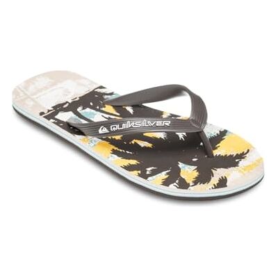 Quiksilver MOLOKAI ART 25 Sandales pour homme, Birch Tropicamo, 39 EU, Birch Tropicamo, 39 EU - Publicité Quiksilver MOLOKAI ART 25 Sandales pour homme, Birch Tropicamo, 39 EU, Birch Tropicamo, 39 EU - Publicité
