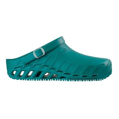 Scholl Clog Evo, Unisex Adulto, Verde, 47 EU - Publicité Scholl Clog Evo, Unisex Adulto, Verde, 47 EU - Publicité