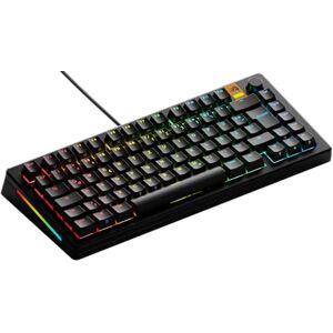 Clavier de jeu personnalisé Glorious GMMK 3 HE 75% - Prêt à l'emploi, ISO - Publicité Clavier de jeu personnalisé Glorious GMMK 3 HE 75% - Prêt à l'emploi, ISO - Publicité