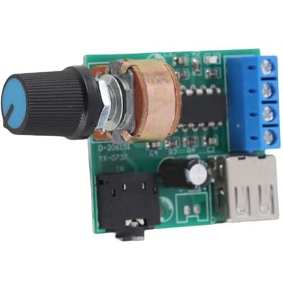 Walfront Amplificateur de Puissance Stéréo 5V AC/DC USB Module Carte d'Auto Basse Tension PM2038 - Publicité Walfront Amplificateur de Puissance Stéréo 5V AC/DC USB Module Carte d'Auto Basse Tension PM2038 - Publicité