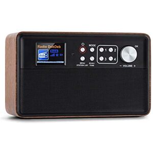 AUNA Nestor Dab + Radio numérique Dab+/FM conviviale pour Tous, écran Couleur TFT 2,4", Grands caractères lisibles, Verrouillage partiel des Touches, Puissance: 2 x 3 W RMS Marron - Publicité