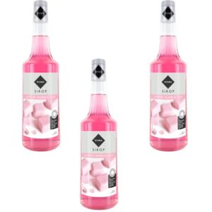 Wine And More Lot de 3 Sirops Rioba Bubble gum 3x70cL - Publicité Wine And More Lot de 3 Sirops Rioba Bubble gum 3x70cL - Publicité