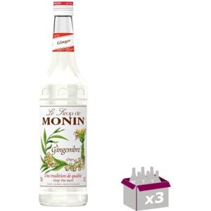 Wine And More Lot de 3 Sirop Gingembre 70cL - Publicité Wine And More Lot de 3 Sirop Gingembre 70cL - Publicité