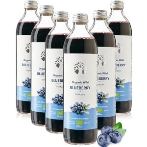 LOOV Jus de myrtille sauvage bio – 100% pur jus, pressé à froid, sans sucre ni eau ajoutés, sans concentré – 6 bouteilles en verre de 500 ml - Publicité LOOV Jus de myrtille sauvage bio – 100% pur jus, pressé à froid, sans sucre ni eau ajoutés, sans concentré – 6 bouteilles en verre de 500 ml - Publicité