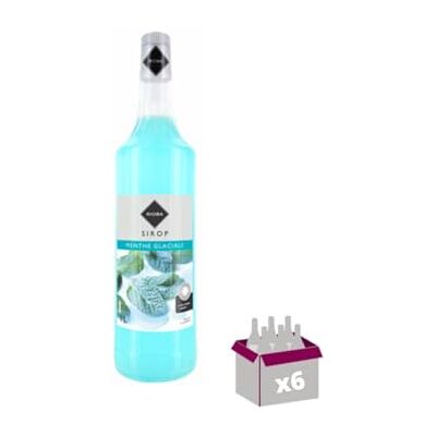 Wine And More Lot de 6 Sirops Rioba Menthe glaciale 6x1L - Publicité Wine And More Lot de 6 Sirops Rioba Menthe glaciale 6x1L - Publicité