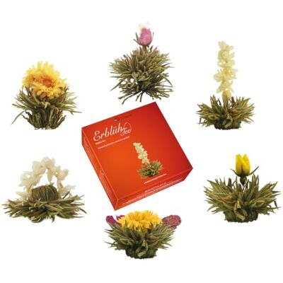 Creano Mélange de 6 Fleurs de Thé – Thé blanc 6 variétés de roses de thé – Boîte cadeau élégante – Cadeau pour femmes et amateurs de thé – Thé en Fleurs - Publicité Creano Mélange de 6 Fleurs de Thé – Thé blanc 6 variétés de roses de thé – Boîte cadeau élégante – Cadeau pour femmes et amateurs de thé – Thé en Fleurs - Publicité