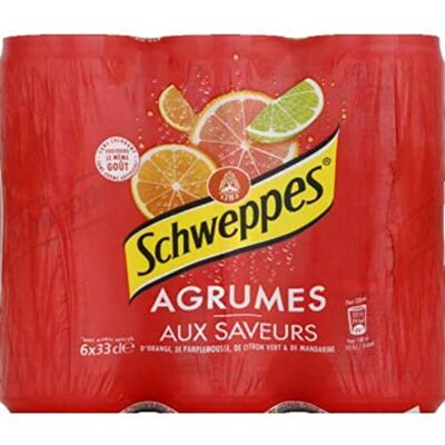 Schweppes Boisson gazeuse aux 4 agrumes 6 x 33 cl - Publicité Schweppes Boisson gazeuse aux 4 agrumes 6 x 33 cl - Publicité