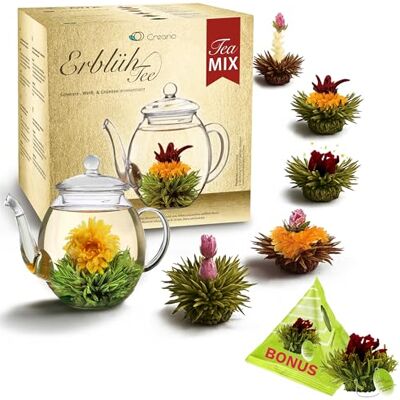 Creano Coffret d'Or Fleurs de Thé Mix 6 pcs + 1 Teelini Bonus (Portion de Tasse) – Théière en Verre 500ml sans goutte – Thé Blanc, Vert & Noir – Idée Cadeau Chic - Publicité Creano Coffret d'Or Fleurs de Thé Mix 6 pcs + 1 Teelini Bonus (Portion de Tasse) – Théière en Verre 500ml sans goutte – Thé Blanc, Vert & Noir – Idée Cadeau Chic - Publicité
