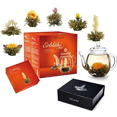 Creano Set Cadeau Complet composé d'une Théière soufflée à la bouche sans goutte avec 6 Fleurs de Thé et une Boîte Magnétique élégante avec 6 Fleurs de Thé – Thé en Fleurs - Publicité Creano Set Cadeau Complet composé d'une Théière soufflée à la bouche sans goutte avec 6 Fleurs de Thé et une Boîte Magnétique élégante avec 6 Fleurs de Thé – Thé en Fleurs - Publicité