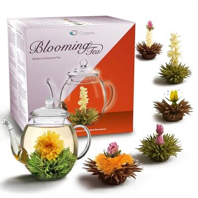 Creano Coffret Cadeau Fleurs de Thé Mix 6 pcs – Théière en Verre 500ml sans goutte – 3x Thé Noir & 3x Thé Blanc – Idée Cadeau Femme, Maman, Anniversaire - Publicité Creano Coffret Cadeau Fleurs de Thé Mix 6 pcs – Théière en Verre 500ml sans goutte – 3x Thé Noir & 3x Thé Blanc – Idée Cadeau Femme, Maman, Anniversaire - Publicité
