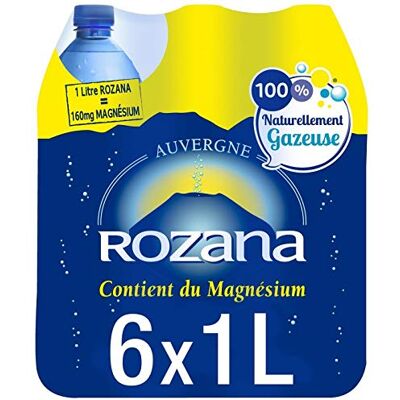 genéric ROZANA Rozana eau naturelle naturellement gazeuse 6 x 1l Un Articles - Publicité genéric ROZANA Rozana eau naturelle naturellement gazeuse 6 x 1l Un Articles - Publicité