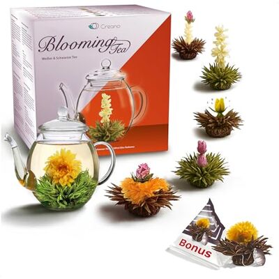 Creano Coffret Cadeau Fleurs de Thé Mix 6 pcs + 1 Teelini Bonus – Théière en Verre 500ml sans goutte – 3x Thé Noir & 3x Thé Blanc – Idé Cadeau Chic - Publicité Creano Coffret Cadeau Fleurs de Thé Mix 6 pcs + 1 Teelini Bonus – Théière en Verre 500ml sans goutte – 3x Thé Noir & 3x Thé Blanc – Idé Cadeau Chic - Publicité