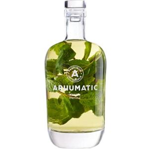 ARHUMATIC Punch au Rhum Menthe (Mentha) 28% Alcool Origine : France 70 cl - Publicité