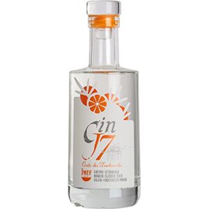 Distilleria Jannamico GIN J7 COSTA – Gin botanique haut de gamme aux oranges sauvages de la Méditerranée – Goût d'agrumes incroyable 200 ML - Publicité Distilleria Jannamico GIN J7 COSTA – Gin botanique haut de gamme aux oranges sauvages de la Méditerranée – Goût d'agrumes incroyable 200 ML - Publicité