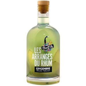 Breiz’île Breiz'Ile Les arrangés du rhum Gingembre/Menthe Glaciale Punch au rhum 28,0% Vol. 70cl - Publicité Breiz’île Breiz'Ile Les arrangés du rhum Gingembre/Menthe Glaciale Punch au rhum 28,0% Vol. 70cl - Publicité