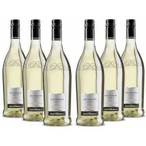 SANT'ORSOLA Mirage Vin Mousseux Sauvignon, Issu De Raisins Sauvignon, Délicat, Savoureux Et Agréablement Aromatique, 6 X 750 Ml - Publicité SANT'ORSOLA Mirage Vin Mousseux Sauvignon, Issu De Raisins Sauvignon, Délicat, Savoureux Et Agréablement Aromatique, 6 X 750 Ml - Publicité