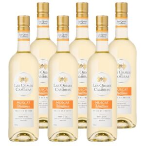 Les Ormes De Cambras Vin Blanc Moelleux Muscat IGP Pays d'Oc Lot de 6 bouteilles x 75cl - Publicité Les Ormes De Cambras Vin Blanc Moelleux Muscat IGP Pays d'Oc Lot de 6 bouteilles x 75cl - Publicité