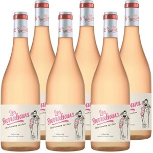 Castel Frères Les Barrabans AOP Luberon Vin Rosé Lot de 6 bouteilles x 75 cl - Publicité Castel Frères Les Barrabans AOP Luberon Vin Rosé Lot de 6 bouteilles x 75 cl - Publicité