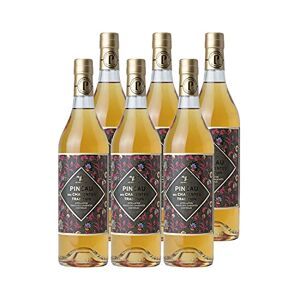 Les Frères Moine Pineau des Charentes Tradition Blanc  Vin AOC Blanc du Sud-Ouest Lot de 6x75cl Cépages Ugni Blanc, Colombard - Publicité