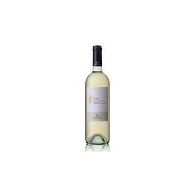 ILAURI TAVO Pinot Grigio IGT Delle Venezie - Vin - Publicité ILAURI TAVO Pinot Grigio IGT Delle Venezie - Vin - Publicité