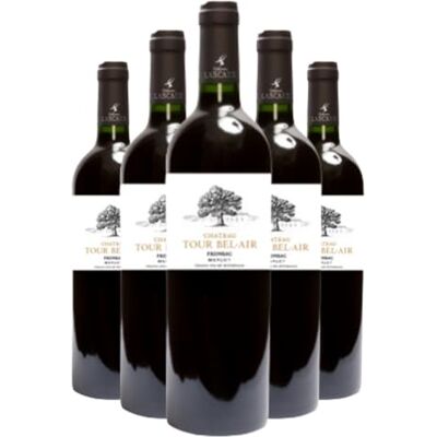 Tour Bel-Air Château Tradition, Vin Rouge de Bordeaux Fronsac, 2016, 75cl, Lot de 6 Bouteilles - Publicité Tour Bel-Air Château Tradition, Vin Rouge de Bordeaux Fronsac, 2016, 75cl, Lot de 6 Bouteilles - Publicité
