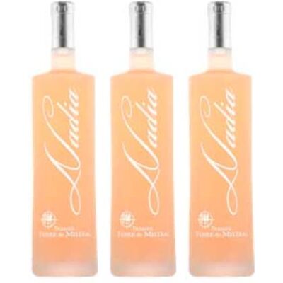 Wine And More Lot de 3 Terre de Mistral – Cuvée Nadia Rosé 2021 – 3x75cL AOP Côtes de Provence Sainte Victoire - Publicité Wine And More Lot de 3 Terre de Mistral – Cuvée Nadia Rosé 2021 – 3x75cL AOP Côtes de Provence Sainte Victoire - Publicité