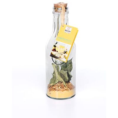 QUAI SUD MELANGE POUR LIMONCELLO (citron) - Publicité QUAI SUD MELANGE POUR LIMONCELLO (citron) - Publicité