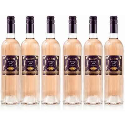 Canti Vin Rosé Italien Sec Pinot Grigio D.O.C. Friuli, Saveur Fraîche avec une Bouche Douce et Ronde, 6x750 ml - Publicité Canti Vin Rosé Italien Sec Pinot Grigio D.O.C. Friuli, Saveur Fraîche avec une Bouche Douce et Ronde, 6x750 ml - Publicité