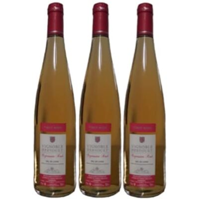 VINACCUS Pinot Noir, "Expression Rosé" 2021 sec val de Loire, 3 x 75cl. Publicité VINACCUS Pinot Noir, "Expression Rosé" 2021 sec val de Loire, 3 x 75cl. Publicité