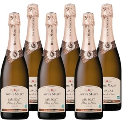 ROCHE MAZET Vin Blanc Pétillant Demi-Sec 100% Muscat Vin de France Lot de 6 bouteilles x 75 cl - Publicité ROCHE MAZET Vin Blanc Pétillant Demi-Sec 100% Muscat Vin de France Lot de 6 bouteilles x 75 cl - Publicité