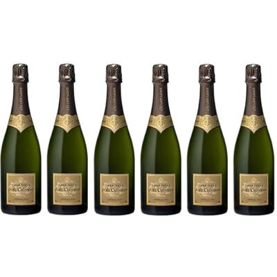 Joël CLOSSON Lot de 6 Bouteilles de Champagne Millésime 2021 ® DIRECT PRODUCTEUR - Publicité Joël CLOSSON Lot de 6 Bouteilles de Champagne Millésime 2021 ® DIRECT PRODUCTEUR - Publicité