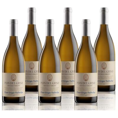 BOSSI FEDRIGOTTI "PIAN DEL GRISO" 2024 Pinot Grigio Valdadige DOC 6x750 ml Emballage de 6 bouteilles - Publicité BOSSI FEDRIGOTTI "PIAN DEL GRISO" 2024 Pinot Grigio Valdadige DOC 6x750 ml Emballage de 6 bouteilles - Publicité
