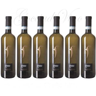 La Guardiense 6 FALANGHINA del Sannio Janare - Publicité La Guardiense 6 FALANGHINA del Sannio Janare - Publicité