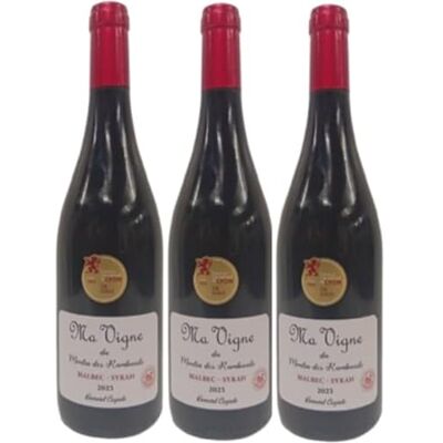 VINACCUS Malbec Syrah 13% Moulin des Rambaud 2023 BIO "Ma vigne" 3 x 75cl. Publicité VINACCUS Malbec Syrah 13% Moulin des Rambaud 2023 BIO "Ma vigne" 3 x 75cl. Publicité