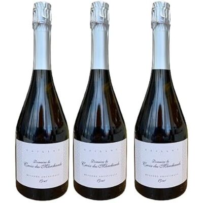 VINACCUS Gaillac pétillant AOP Blanc 100% Mauzac "méthode traditionnelle fines bulles" récoltant, 3 x 75cl. Publicité VINACCUS Gaillac pétillant AOP Blanc 100% Mauzac "méthode traditionnelle fines bulles" récoltant, 3 x 75cl. Publicité