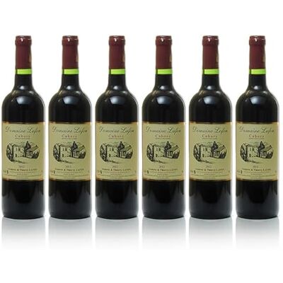 Domaine Lafon Promotion de 6 bouteilles de AOC Cahors 2019, 75cl - Publicité Domaine Lafon Promotion de 6 bouteilles de AOC Cahors 2019, 75cl - Publicité