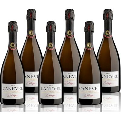CANEVEL "SETÀGE BRUT" 2024 Valdobbiadene Prosecco Superiore DOCG 6x750 ml caisse de 6 bouteilles - Publicité CANEVEL "SETÀGE BRUT" 2024 Valdobbiadene Prosecco Superiore DOCG 6x750 ml caisse de 6 bouteilles - Publicité