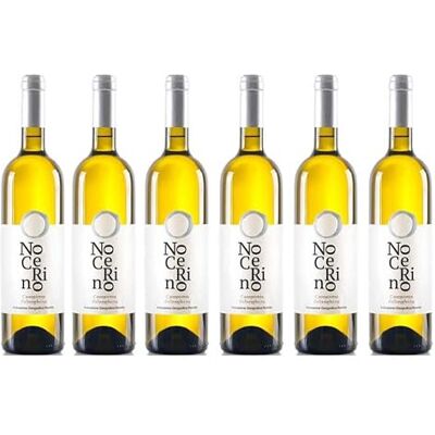 Nocerino 6 FALANGHINA Campania IGP Vini - Publicité Nocerino 6 FALANGHINA Campania IGP Vini - Publicité
