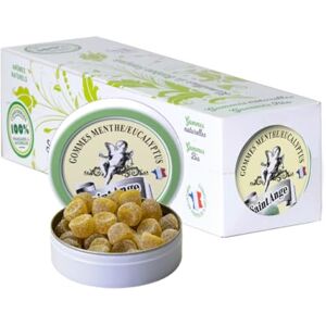 Saint Ange Lot 10 boites Pastilles Saint-Ange Bonbons Traditionnels 100% Français Menthe eucalyptus - Publicité Saint Ange Lot 10 boites Pastilles Saint-Ange Bonbons Traditionnels 100% Français Menthe eucalyptus - Publicité