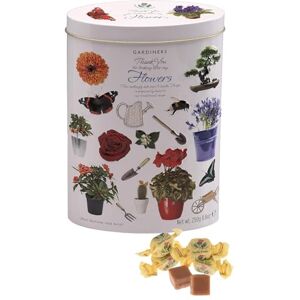 Gardiners of Scotland Thank You Tins Flowers, Vanilla Fudge, 8.8 Ounce by - Publicité Gardiners of Scotland Thank You Tins Flowers, Vanilla Fudge, 8.8 Ounce by - Publicité