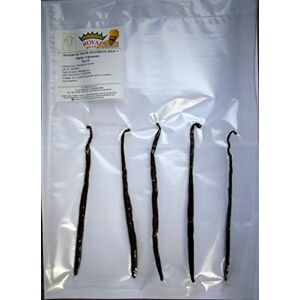 Royal Brand 5 Gousses de Vanille Bourbon Madagascar, Noire, min. 20 cm, Premium Quality, Idéal en Pâtisserie et Cuisine - Publicité Royal Brand 5 Gousses de Vanille Bourbon Madagascar, Noire, min. 20 cm, Premium Quality, Idéal en Pâtisserie et Cuisine - Publicité